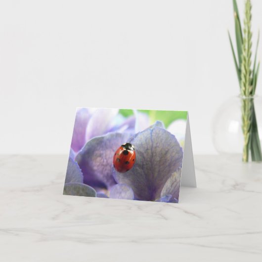 LadyBug Notecard Karte (Vorderseite)