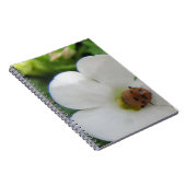 Ladybug Notizblock (Rechte Seite)