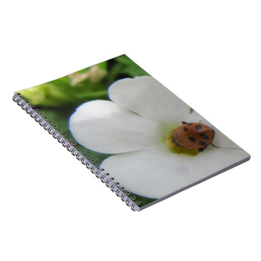 Ladybug Notizblock (Rechte Seite)