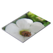 Ladybug Notizblock (Linke Seite)