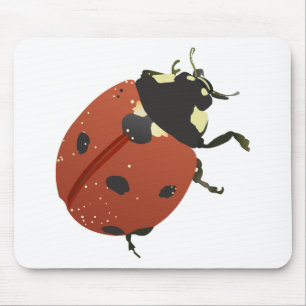 LadyBug Office-Zuhause personalize Destiny Destiny Mousepad