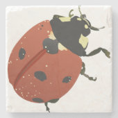 LadyBug Office-Zuhause personalize Destiny Destiny Steinuntersetzer (Vorderseite)
