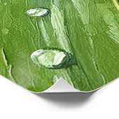 Ladybug on a Dewy Leaf – Nature Art Print Poster (Ecke)