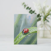 Ladybug on a Dewy Leaf – Nature Postcard Postkarte (Stehend Vorderseite)