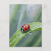 Ladybug on a Dewy Leaf – Nature Postcard Postkarte (Vorderseite)
