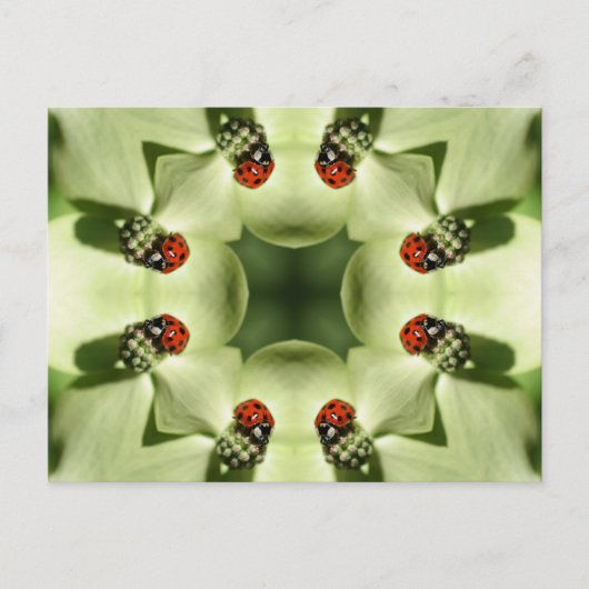 Ladybug on Blume Kaleidoskop Art Postcard Postkarte (Vorderseite)
