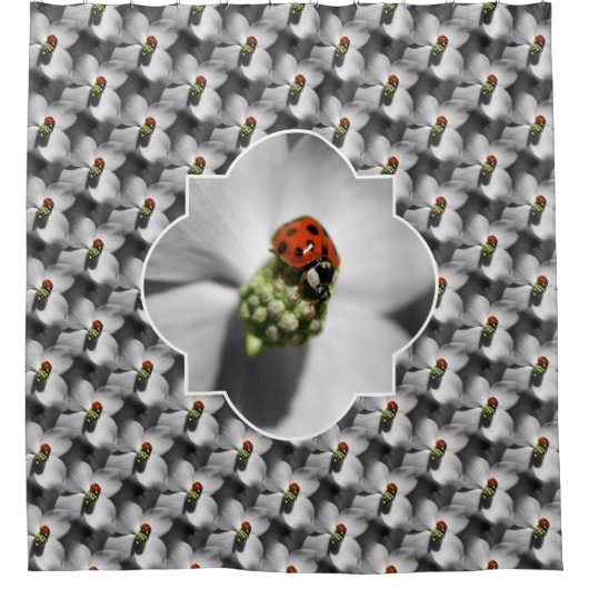 Ladybug On Dogwood Flower Nature Pattern  Duschvorhang (Vorderseite)