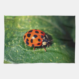 Ladybug On Leaf Close Up Geschirrtuch