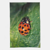 Ladybug On Leaf Close Up  Geschirrtuch (Vertikal)