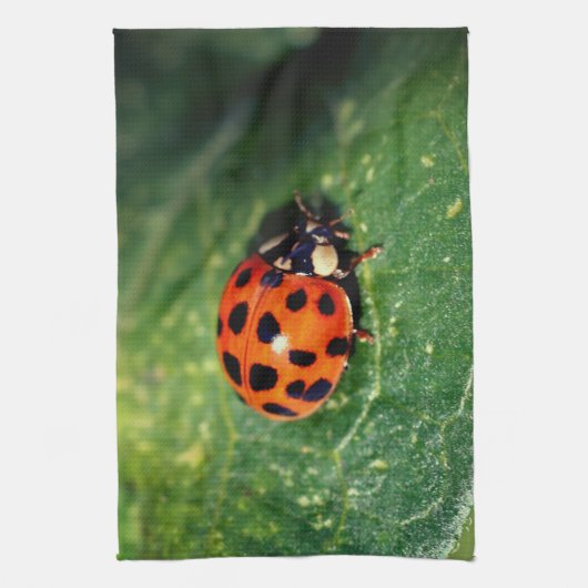 Ladybug On Leaf Close Up  Geschirrtuch (Vertikal)