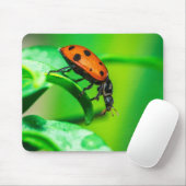 Ladybug on Leaf – Macro Nature Photo Art Print Mousepad (Mit Mouse)