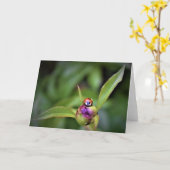 Ladybug on Peony, Karte (Gelbe Blume)