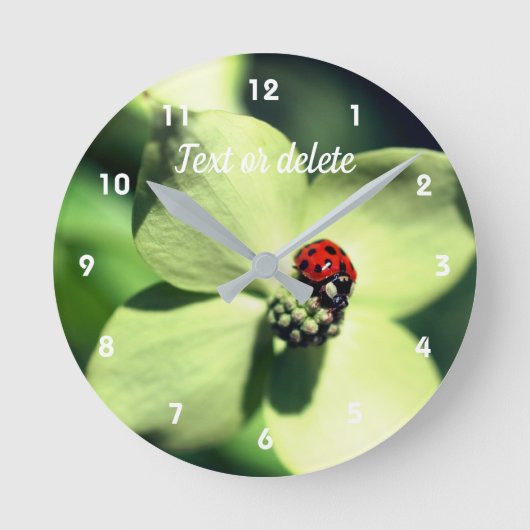 Ladybug on White Dogwood Blume Personalisiert Runde Wanduhr (Vorderseite)