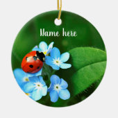 Ladybug Ornament (Vorne)
