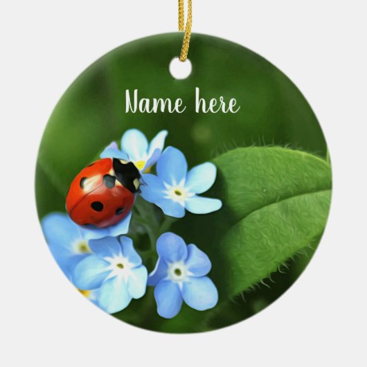 Ladybug Ornament (Vorne)