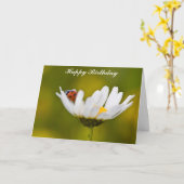 Ladybug, Oxeye Daisy Birthday Card Karte (Gelbe Blume)
