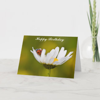 Ladybug, Oxeye Daisy Birthday Card Karte