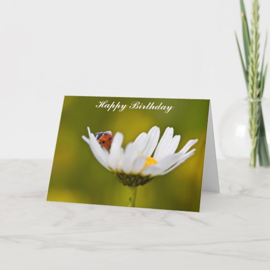 Ladybug, Oxeye Daisy Birthday Card Karte (Vorderseite)