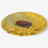 Ladybug Pappteller (Schrägansicht)