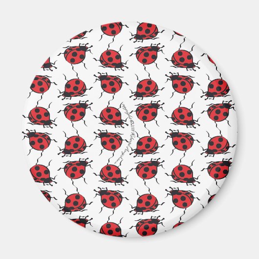 Ladybug Pattern Magnet (Vorne)