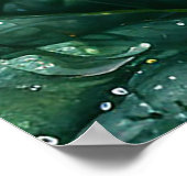 Ladybug Perched on Dew Covered Strawberry Pflanze Poster (Ecke)