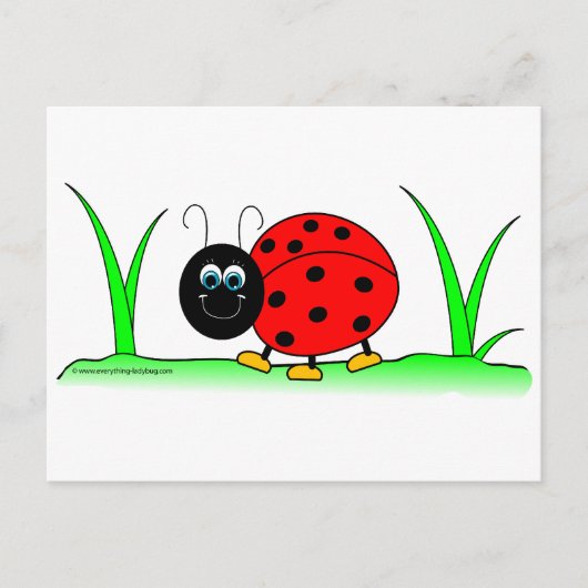 Ladybug Postcard Postkarte (Vorderseite)