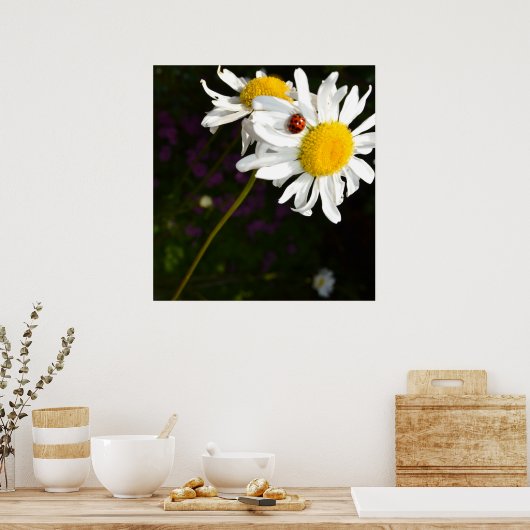 Ladybug Poster (Küche)