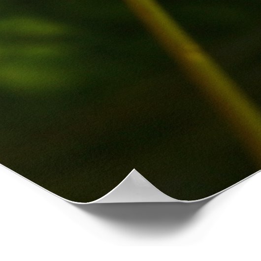 Ladybug Poster (Ecke)