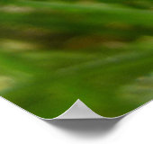 Ladybug Poster (Ecke)