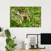 Ladybug Poster (Heimbüro)