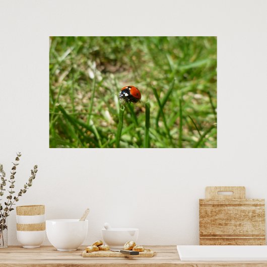 Ladybug Poster (Küche)