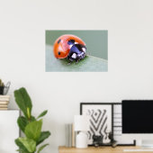 Ladybug Poster (Heimbüro)
