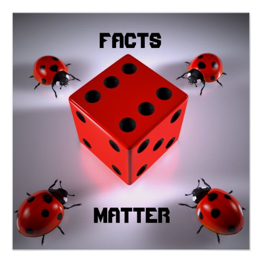 Ladybug Poster (Vorderseite)