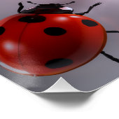 Ladybug Poster (Ecke)