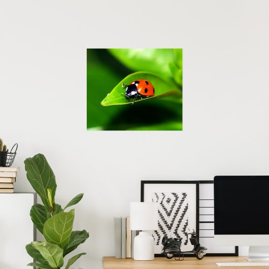 Ladybug Poster (Heimbüro)