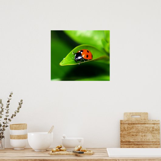 Ladybug Poster (Küche)