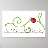 Ladybug Poster (Vorne)