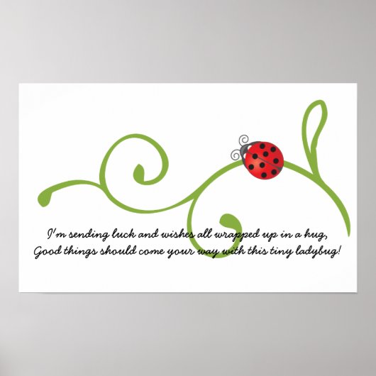 Ladybug Poster (Vorne)