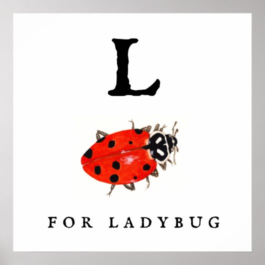 Ladybug Poster (Vorne)