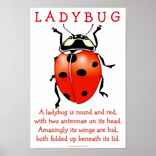Ladybug Poster (Vorne)