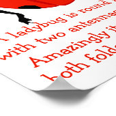 Ladybug Poster (Ecke)