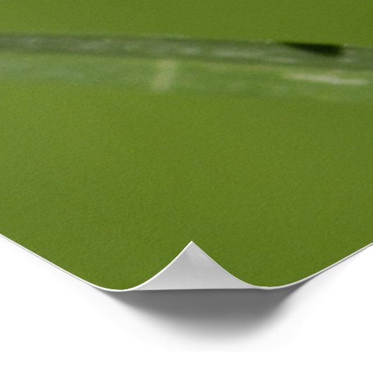 Ladybug Poster (Ecke)