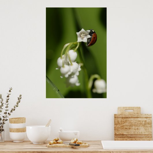 Ladybug Poster (Küche)