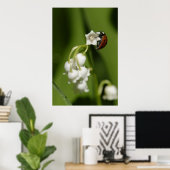 Ladybug Poster (Heimbüro)