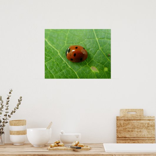 Ladybug Poster (Küche)