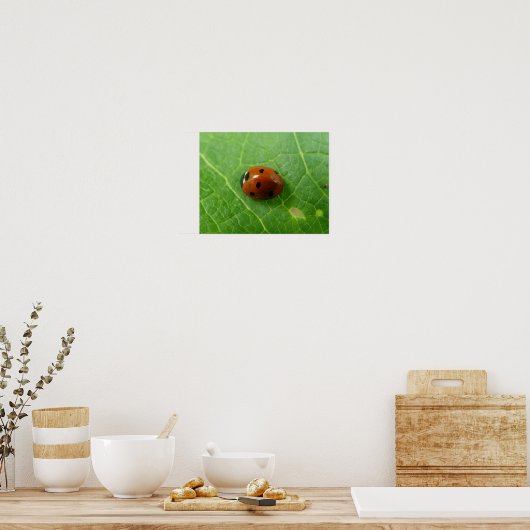 Ladybug Poster (Küche)