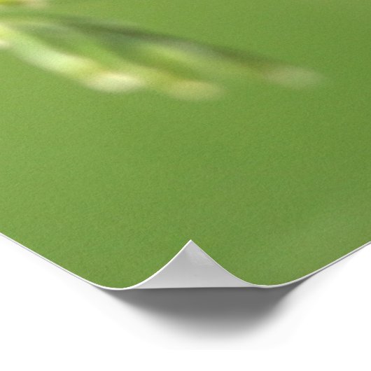 Ladybug Poster (Ecke)