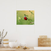 Ladybug Poster (Küche)