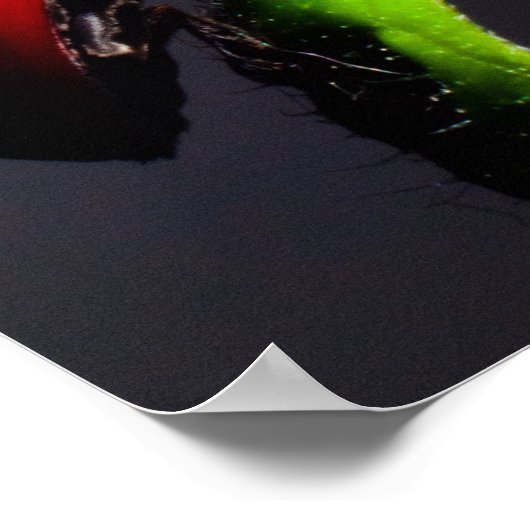 Ladybug Poster (Ecke)