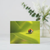 Ladybug Postkarte (Stehend Vorderseite)